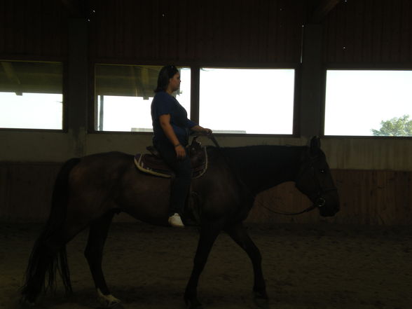 reiten in Oberösterreich - 