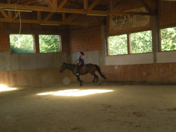 reiten in Oberösterreich - 