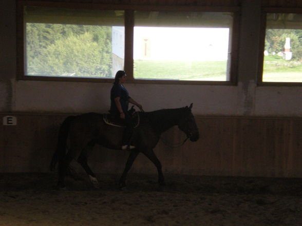 reiten in Oberösterreich - 