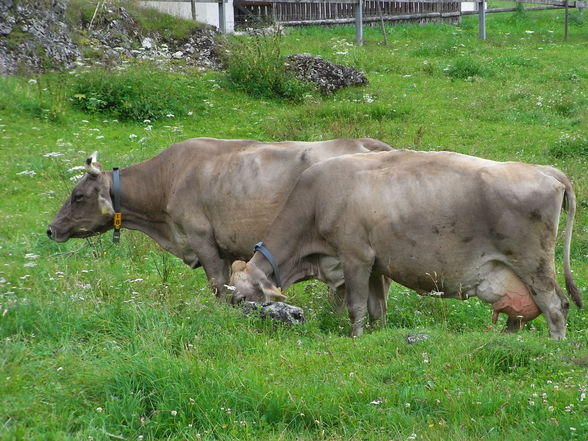 One weekende in Bergün - 