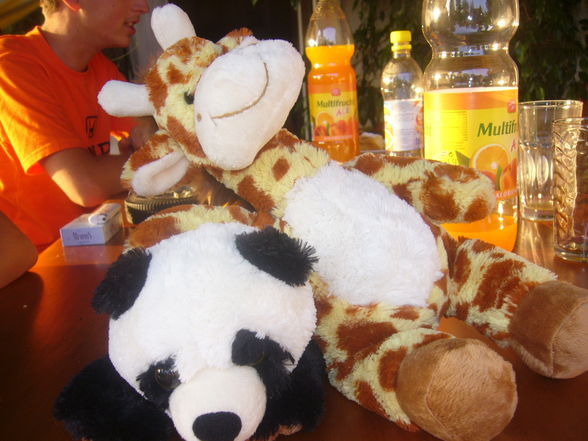 Raffi & Panda - friends 4 life - 