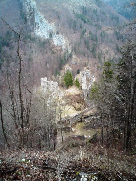 Ruine Scharnstein 20.03.2011 - 