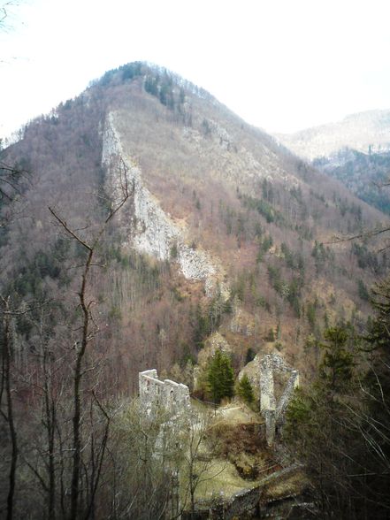 Ruine Scharnstein 20.03.2011 - 