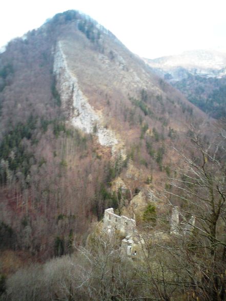 Ruine Scharnstein 20.03.2011 - 