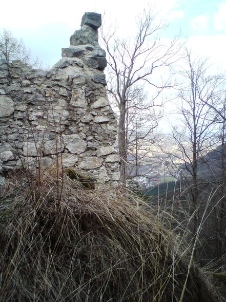 Ruine Scharnstein 20.03.2011 - 