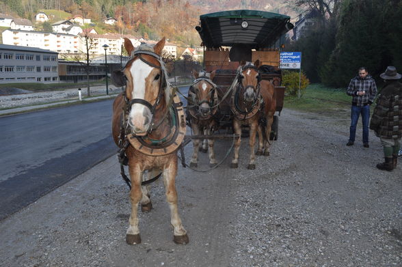 im Hintergebirge - 