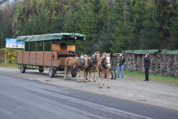 im Hintergebirge - 