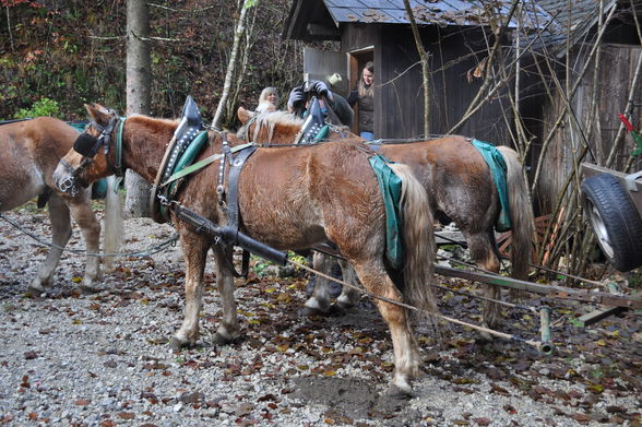 im Hintergebirge - 