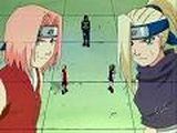 Naruto Shippuuden Girls - 