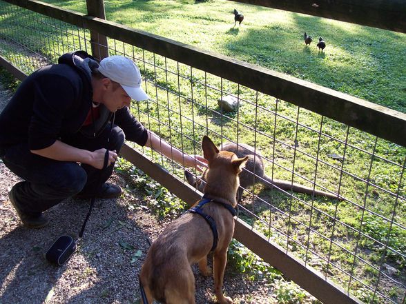 Tierpark Haag  - 