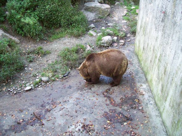 Tierpark Haag  - 