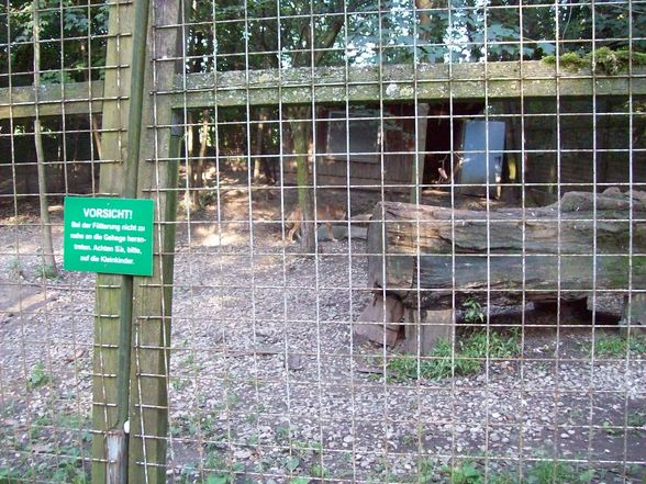 Tierpark Haag  - 