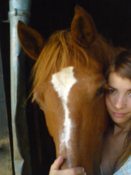 horses & me - 