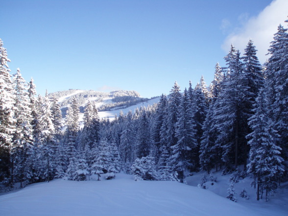 Schiurlaub Kirchberg  - 