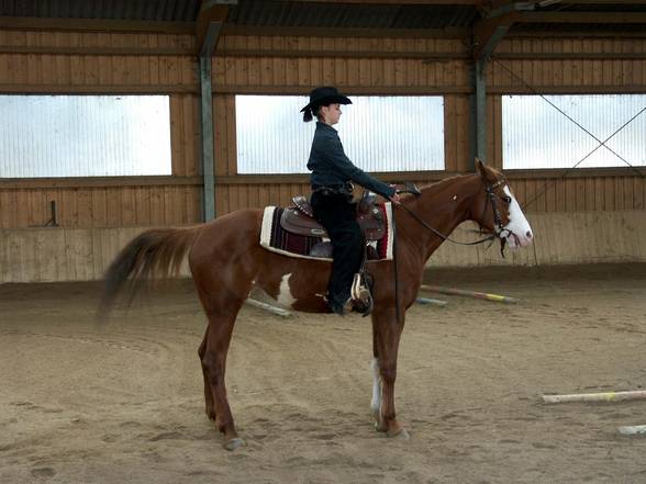 Westernstable Lindlmayr (Tunier) 30.4.05 - 