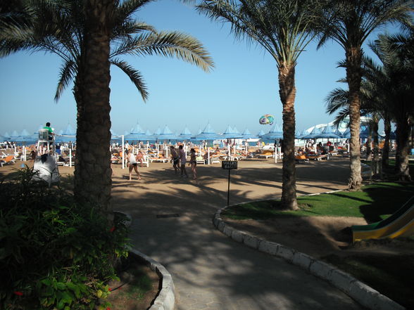 Hurghada 2010 - 