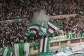 SK Rapid Wien - 