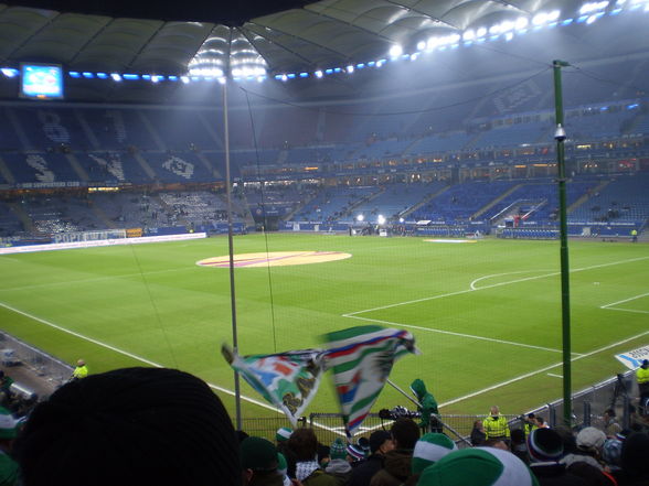 Hsv - Rapid  - 