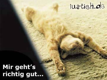 Lach mal wieder!! - 