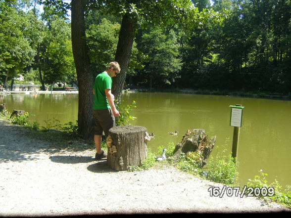 Tiergarten mit mein hasen - 