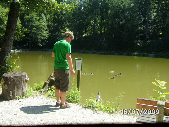 Tiergarten mit mein hasen - 