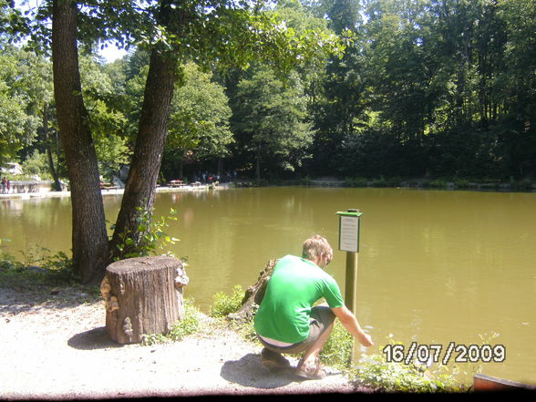 Tiergarten mit mein hasen - 