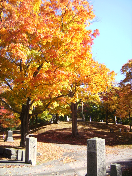 New Home in Sharon/ Boston - 