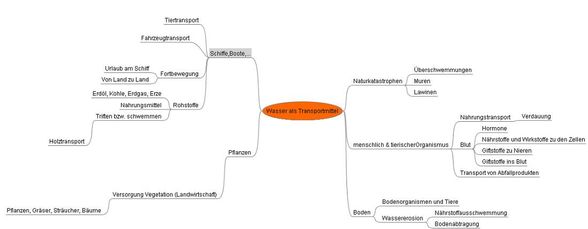 Projektmanagement - 