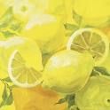 Lemon - 