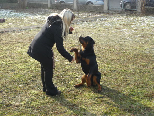 Ein Duke kommt selten allein - 