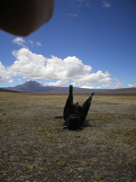 Ecuador 07 - 