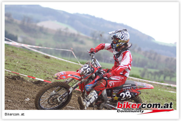 mx-strengberg... - 