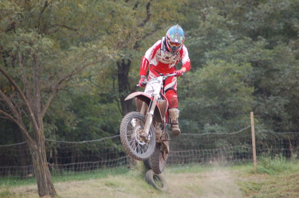 mx-parndorf..=) - 