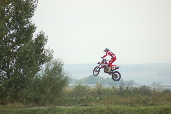 mx-parndorf..=) - 