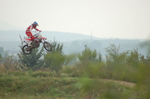 mx-parndorf..=) - 