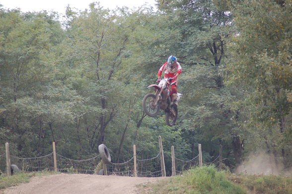 mx-parndorf..=) - 