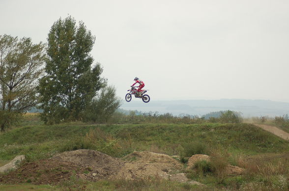 mx-parndorf..=) - 