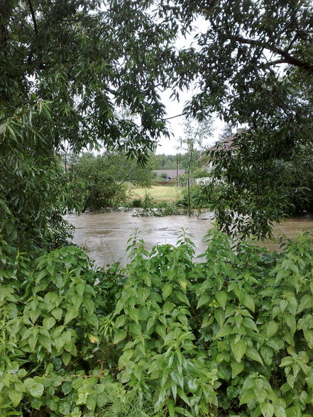 2009-06-24 Hochwasser Kotezicken - 