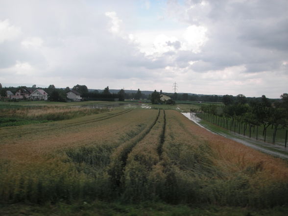 2009-06-29 Hochwasser Mischendorf - 