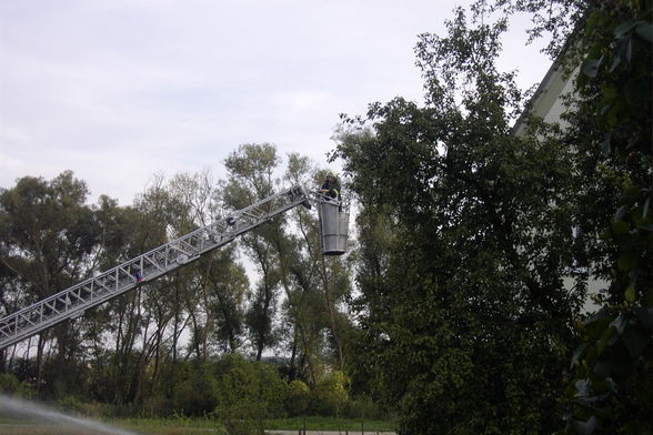 2004-09-12/13 Großübung Abschnitt - 