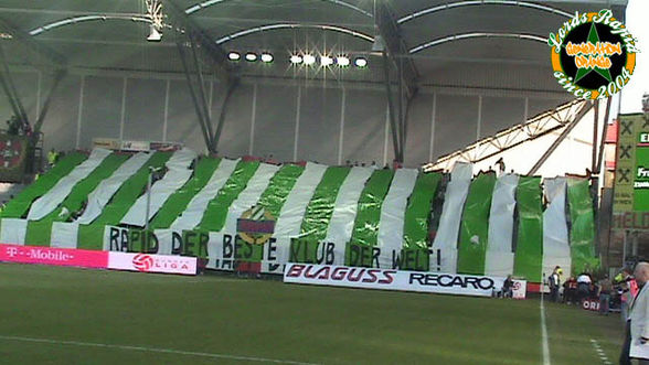 RAPID WIEN - 