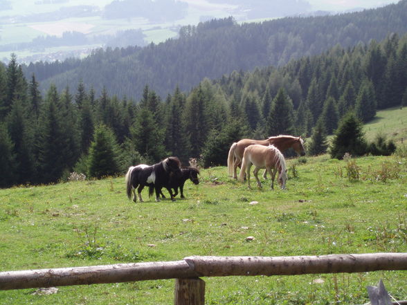 Hüttengaudi Steiermark - 