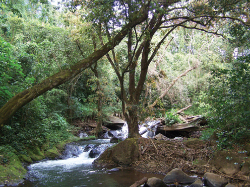 Costa Rica 2007 - 