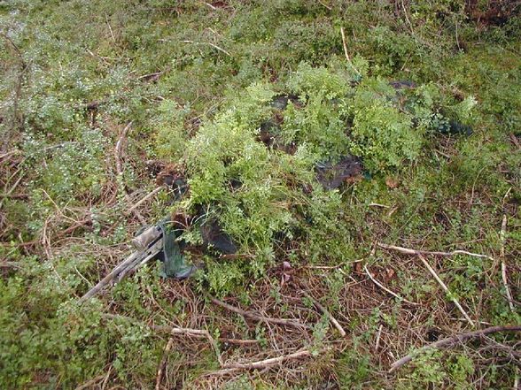 Bundesheer&Österreich - 