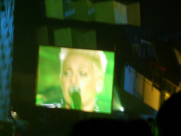 Pink - 10.12.06 in Wiener Stadthalle - 