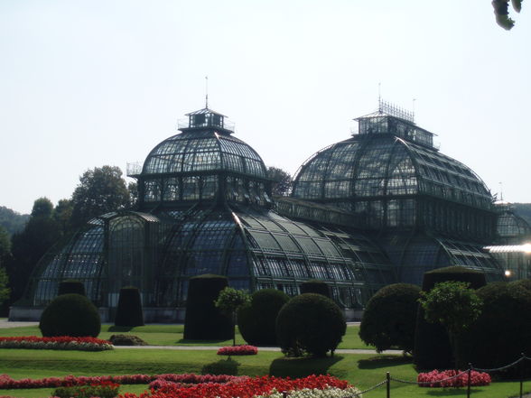 Wien Tiergarten Schönbrunn 23.9.2009 - 