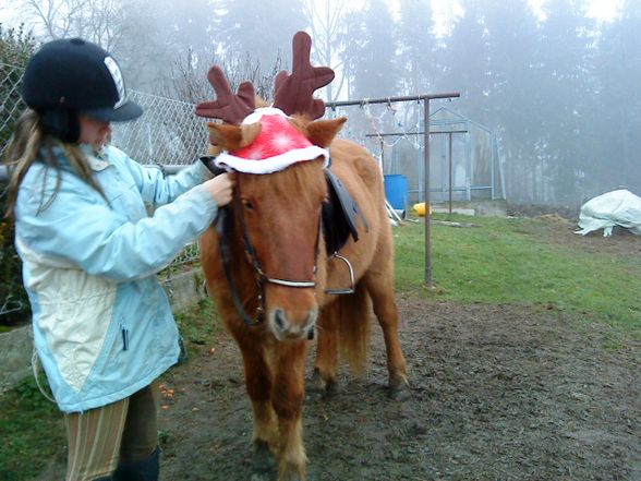 Weihnachten - 