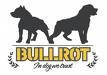 Bullrot - 