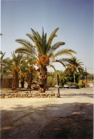 ISRAEL 1999 - 