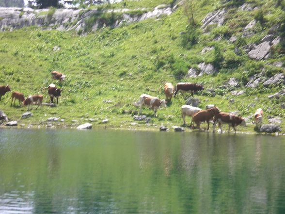 Vom Almtal zum Grundlsee - 